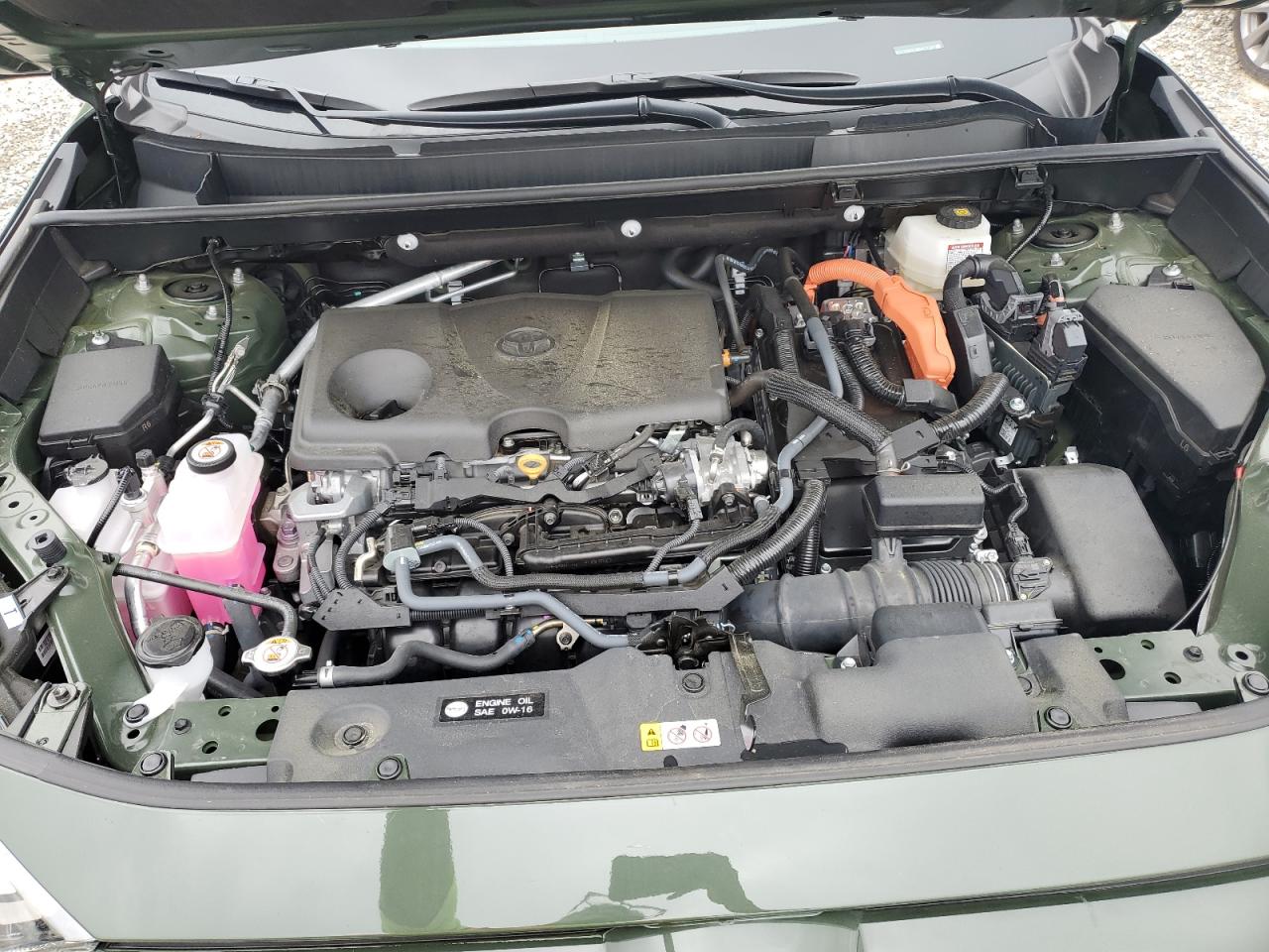 2024 TOYOTA RAV4 WOODLAND EDITION photo 12