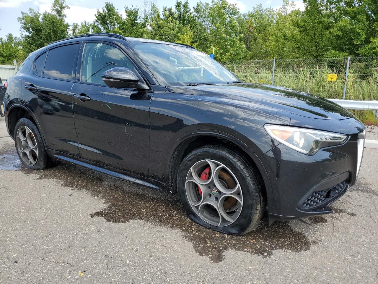 2020 ALFA ROMEO STELVIO photo 10