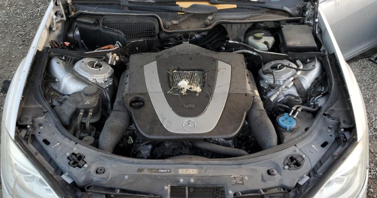 2010 MERCEDES-BENZ S 400 photo 21