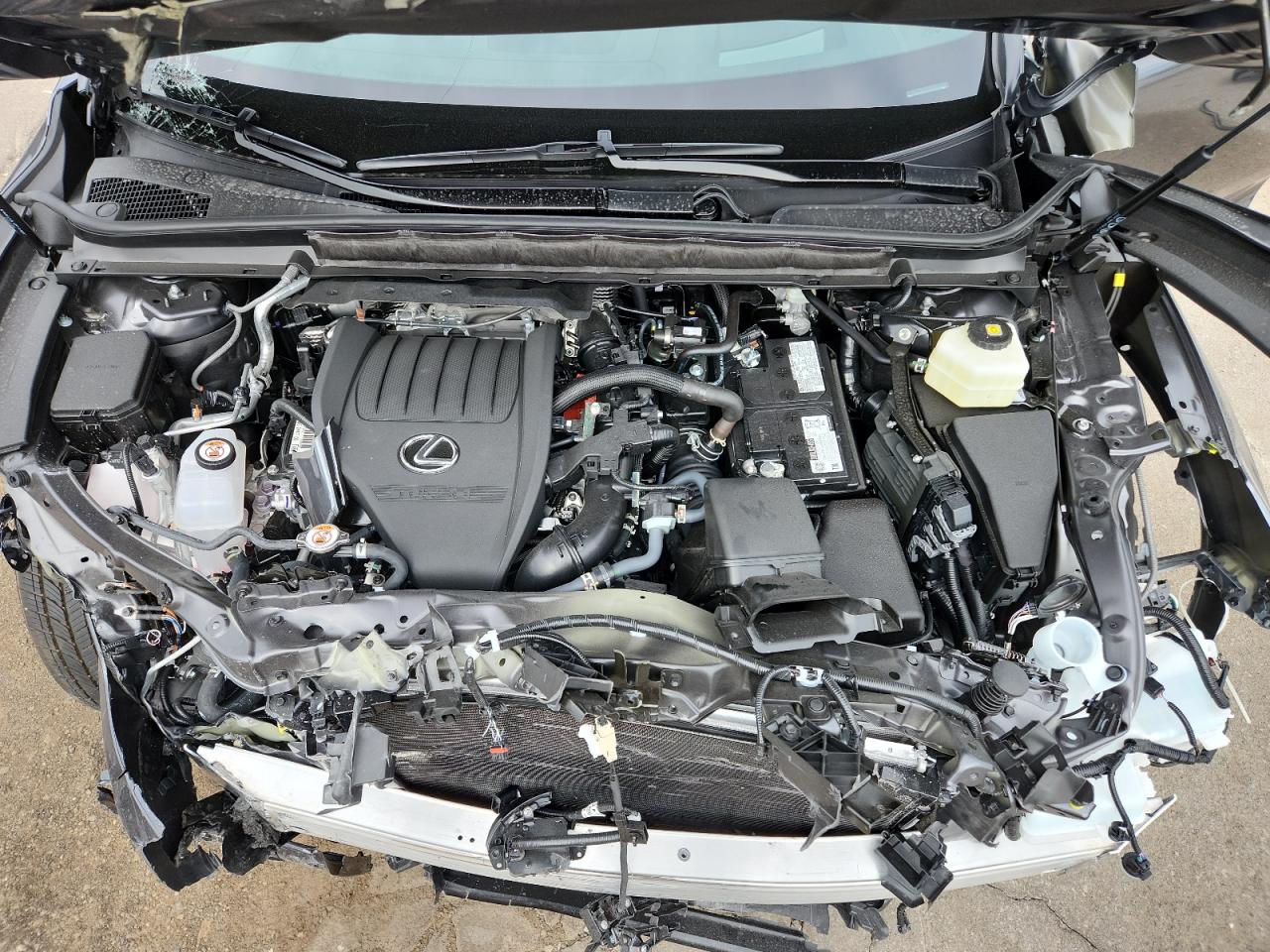 2025 LEXUS RX 350 BASE photo 21