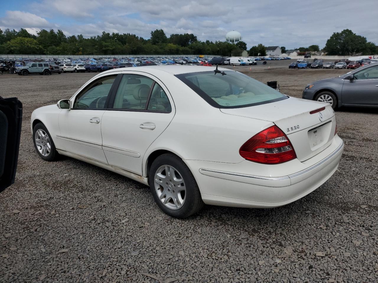 2005 MERCEDES-BENZ E 320 CDI photo 3