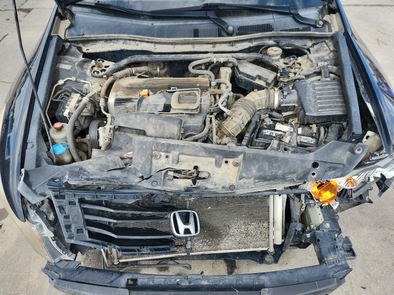 2008 HONDA ACCORD EXL photo 11