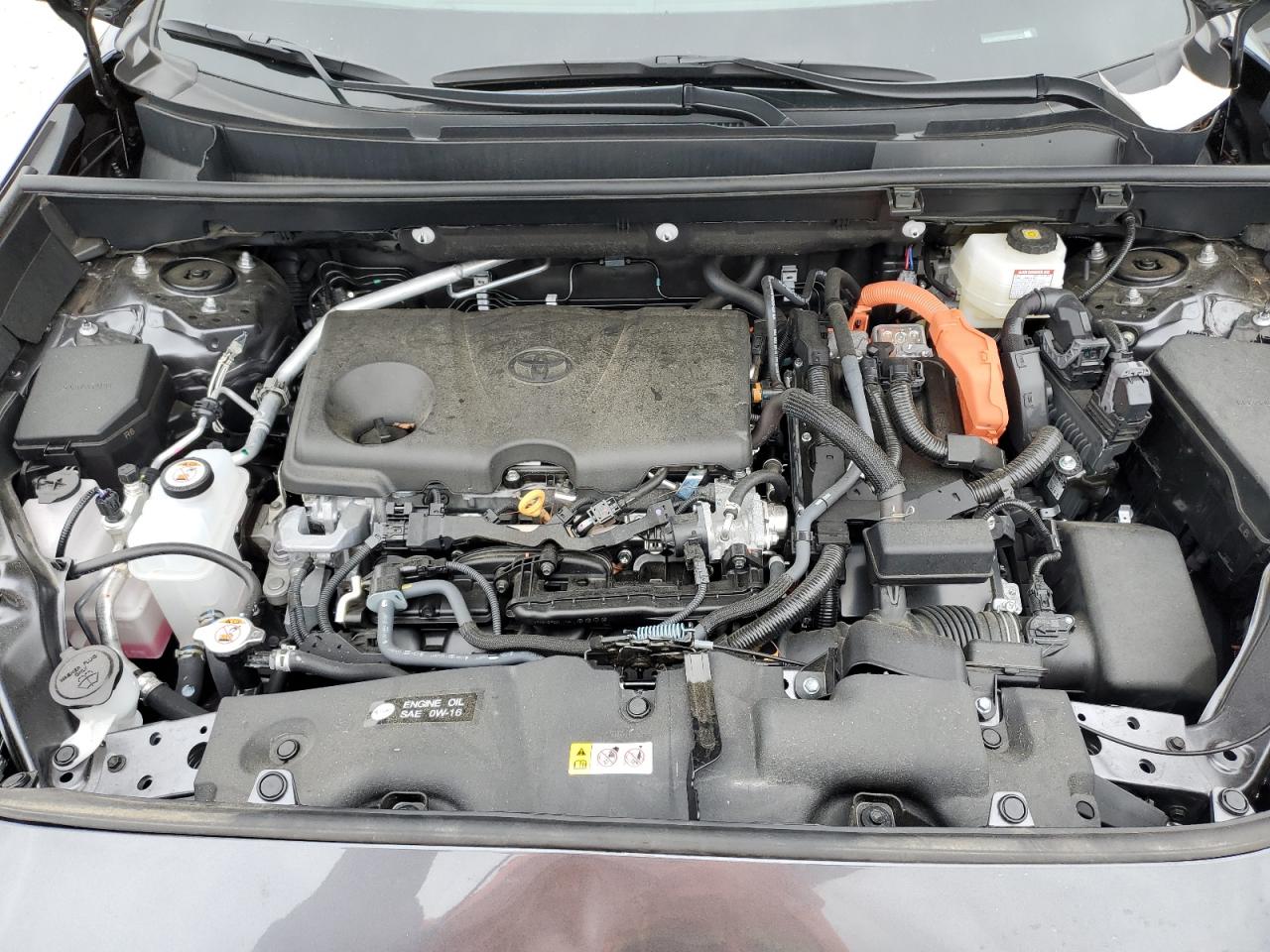 2024 TOYOTA RAV4 LE photo 23
