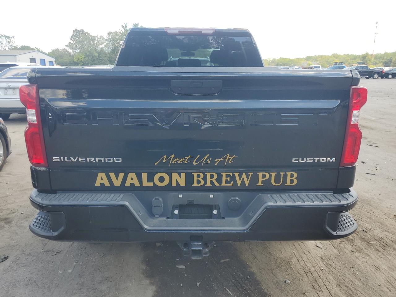 2021 CHEVROLET SILVERADO K1500 CUSTOM photo 11
