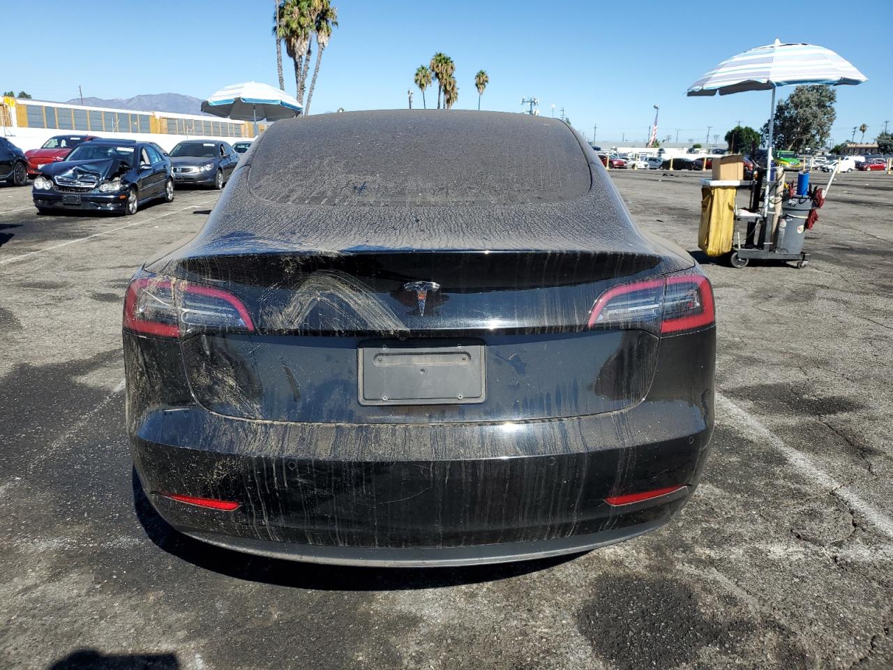 2019 TESLA MODEL 3 photo 11