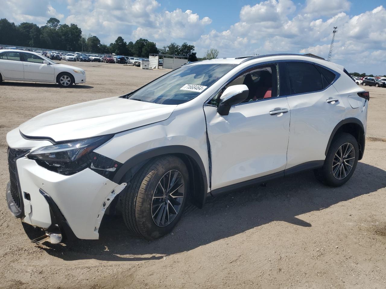 2025 LEXUS NX