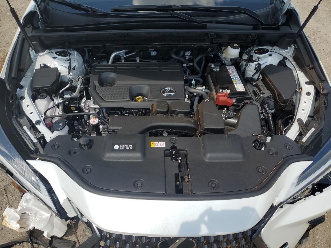 2025 LEXUS NX 250 PREMIUM photo 12
