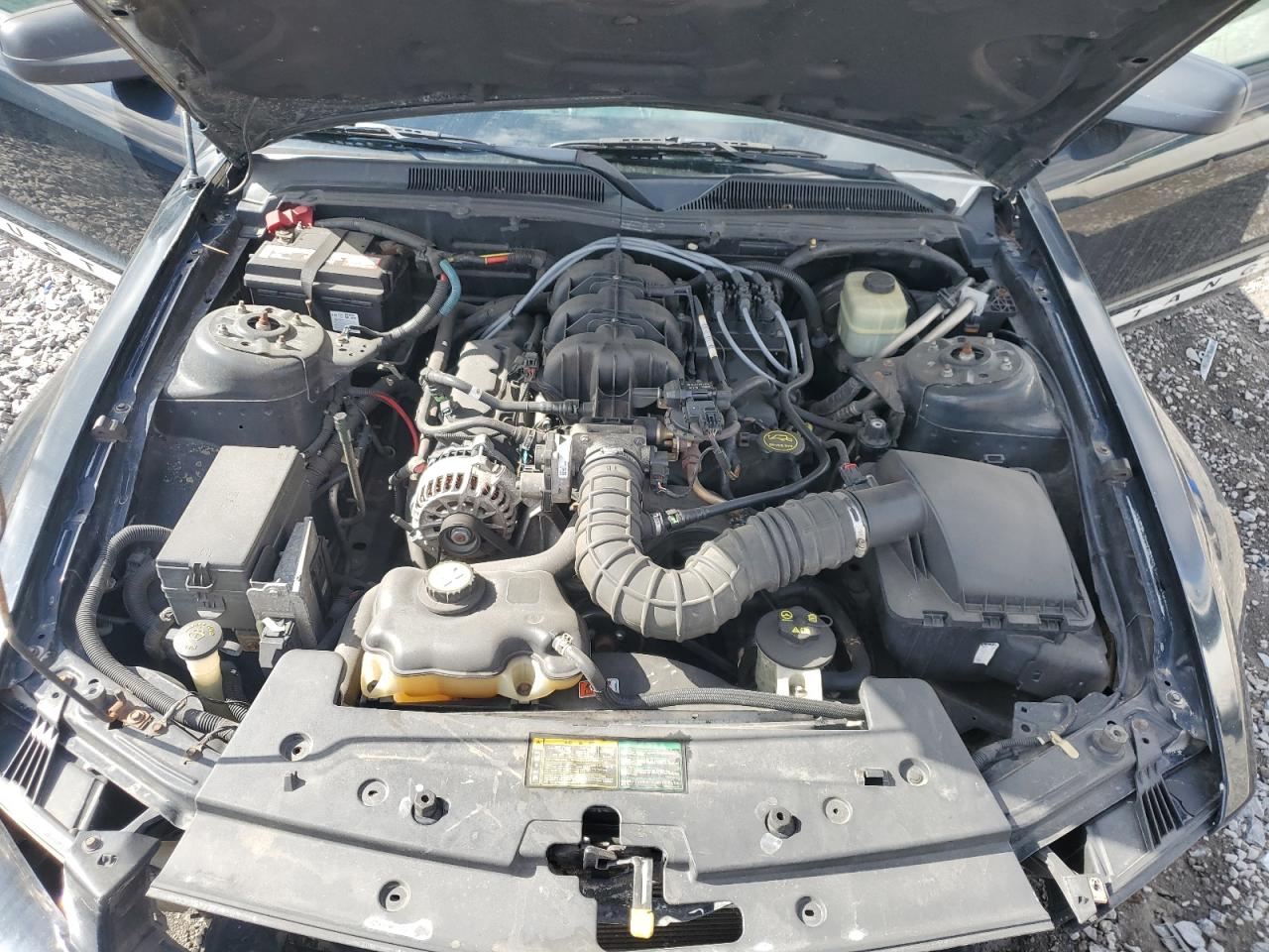 2006 FORD MUSTANG photo 31