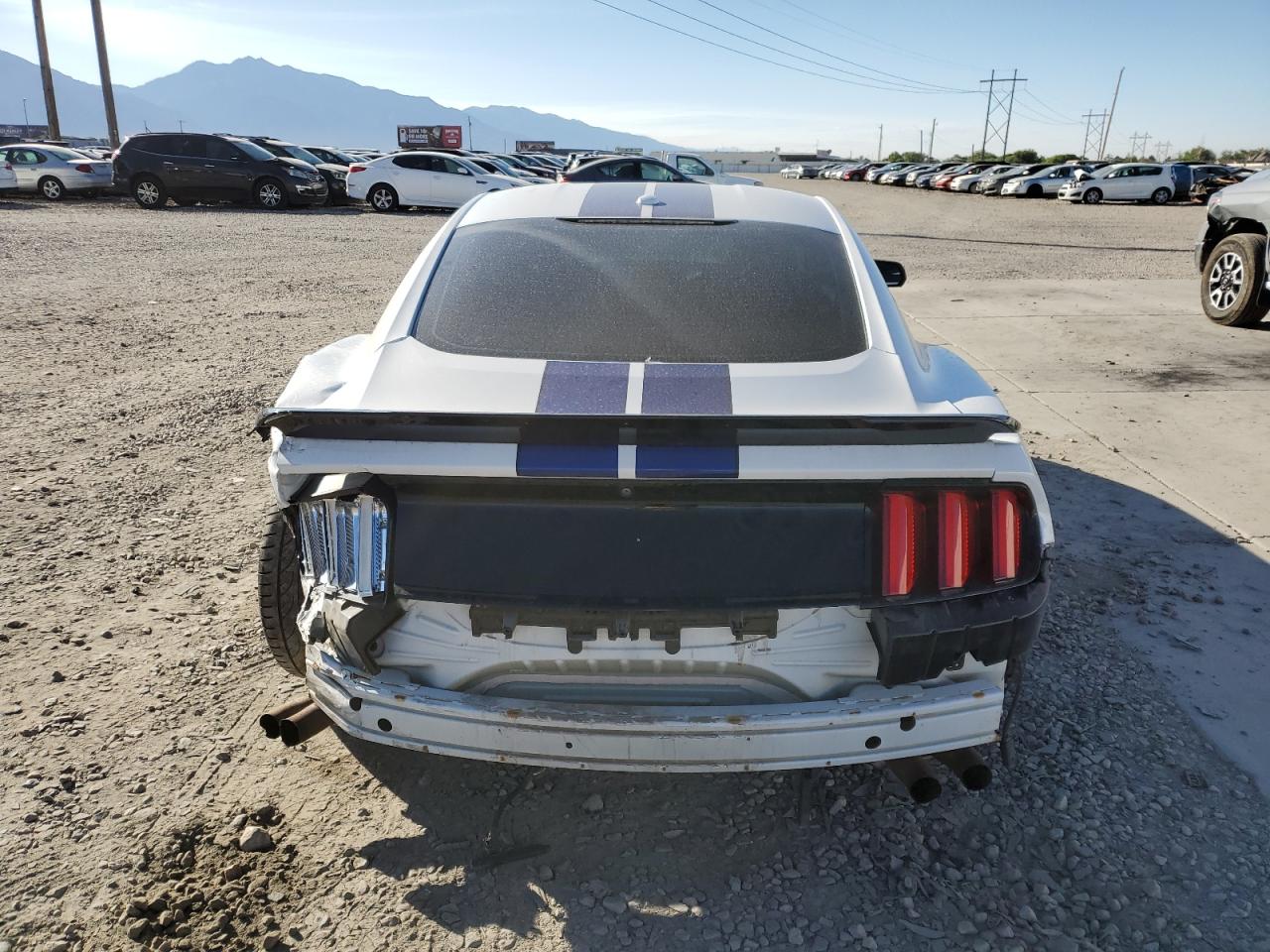 2016 FORD MUSTANG SHELBY GT350 photo 16