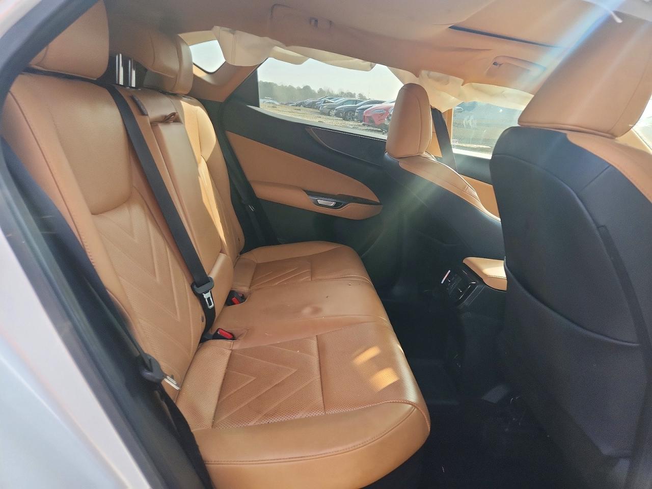2024 LEXUS NX 450H LUXURY photo 21