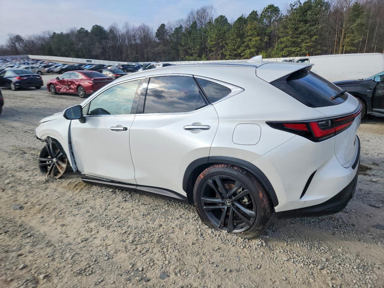2024 LEXUS NX 450H LUXURY photo 3