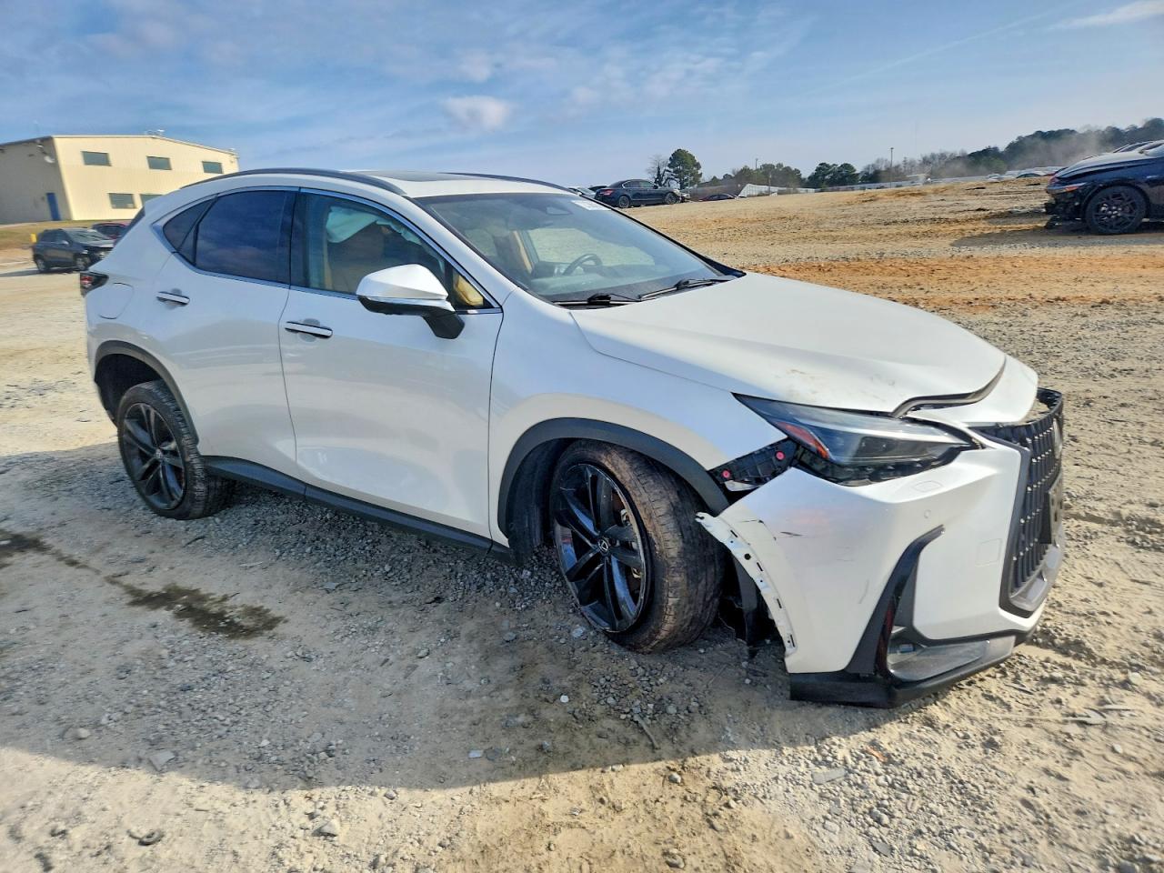 2024 LEXUS NX 450H LUXURY photo 7