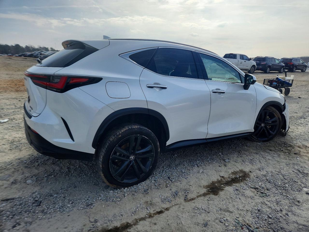 2024 LEXUS NX 450H LUXURY photo 5