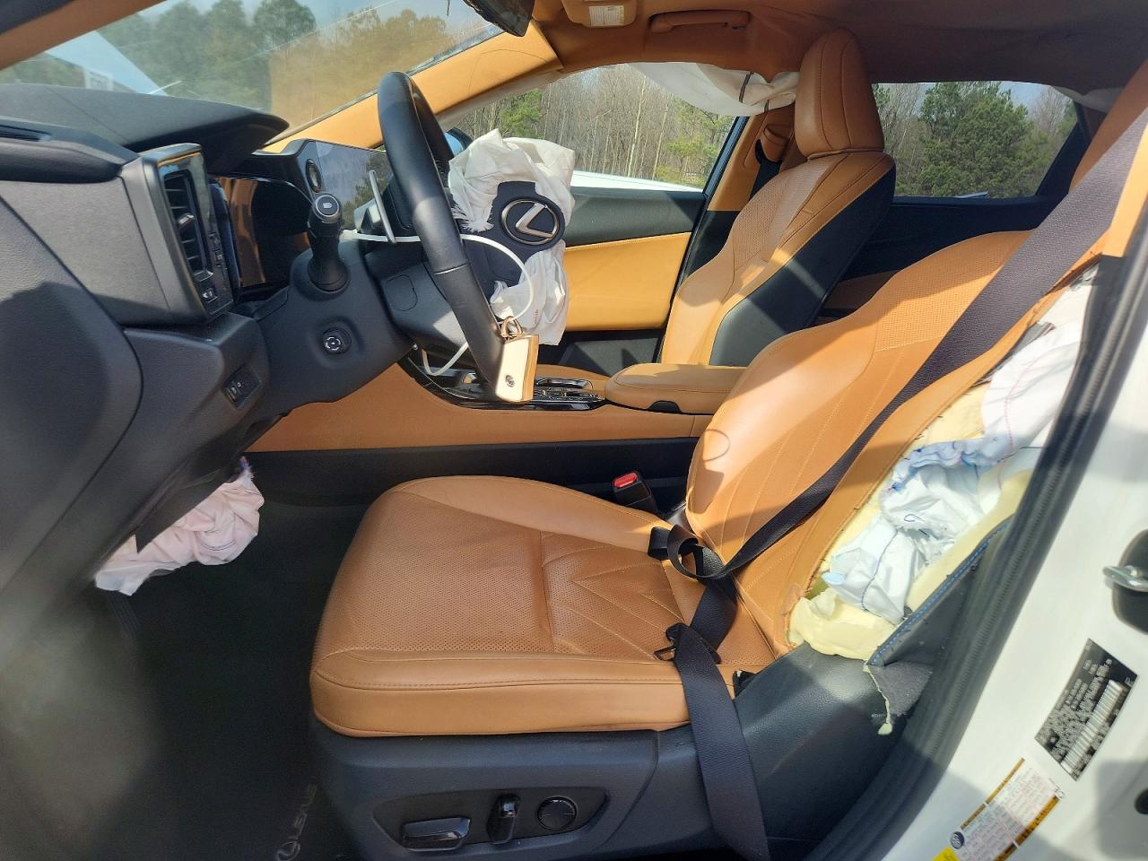2024 LEXUS NX 450H LUXURY photo 13