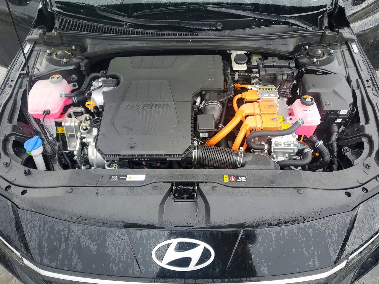 2025 HYUNDAI ELANTRA BLUE photo 31