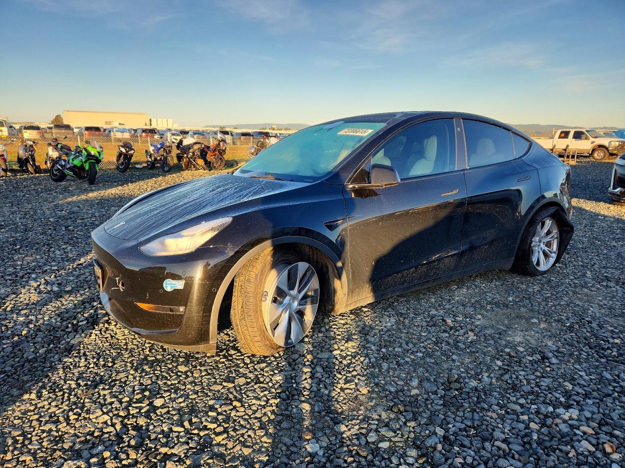 2021 TESLA MODEL Y