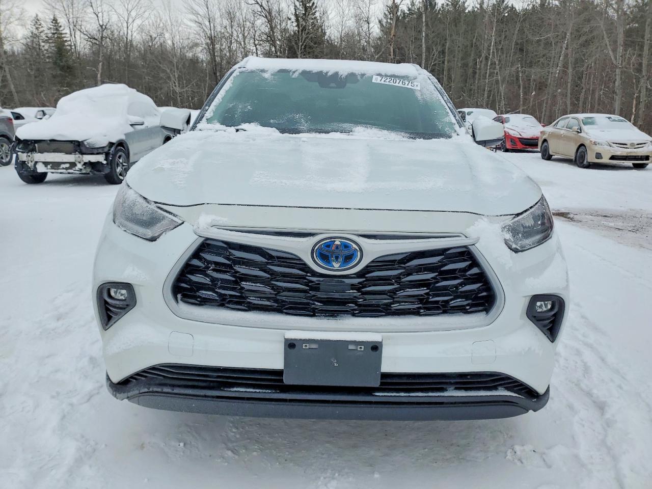 2023 TOYOTA HIGHLANDER HYBRID XLE photo 5
