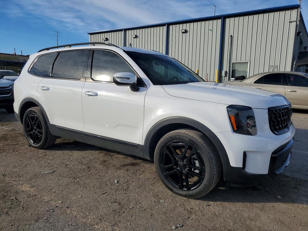 2025 KIA TELLURIDE EX X-LINE photo 10