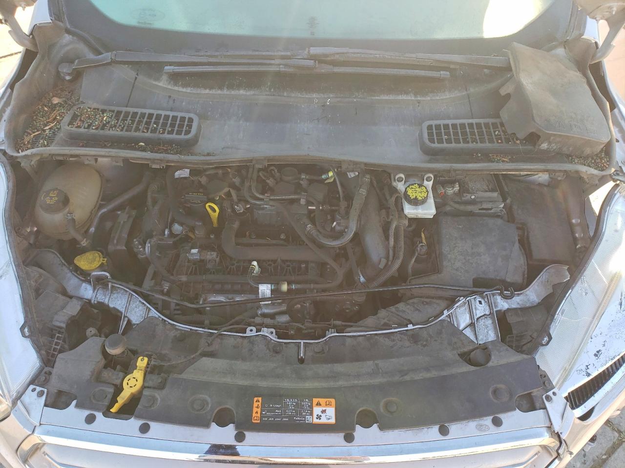 2019 FORD ESCAPE SE photo 31