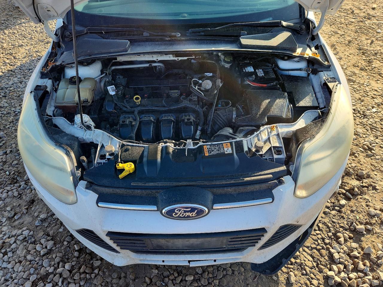 2014 FORD FOCUS SE photo 11