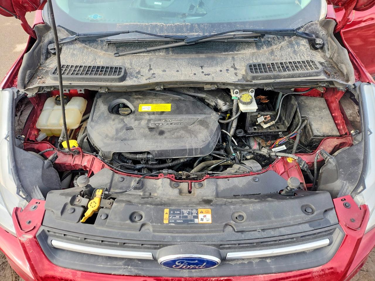 2016 FORD ESCAPE SE photo 12