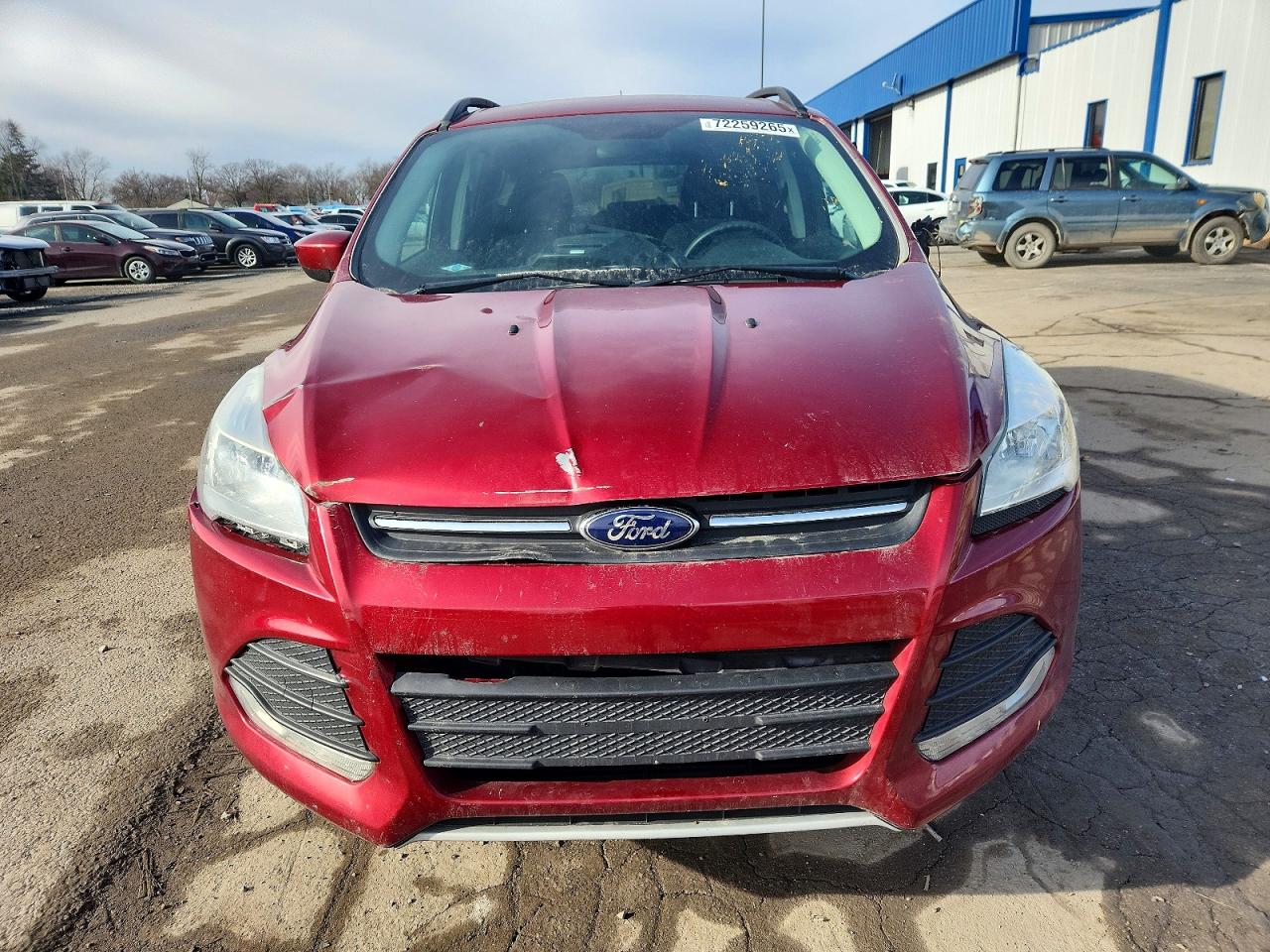 2016 FORD ESCAPE SE photo 5
