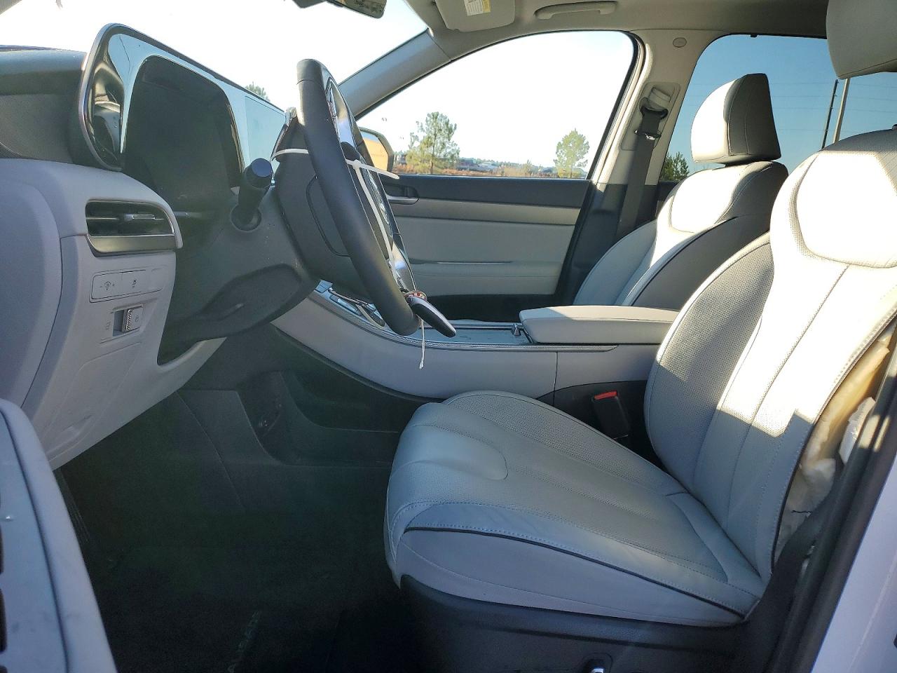 2024 HYUNDAI PALISADE photo 19