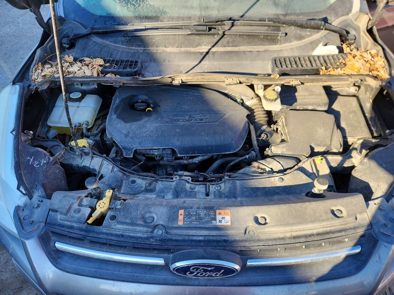 2014 FORD ESCAPE SE photo 11