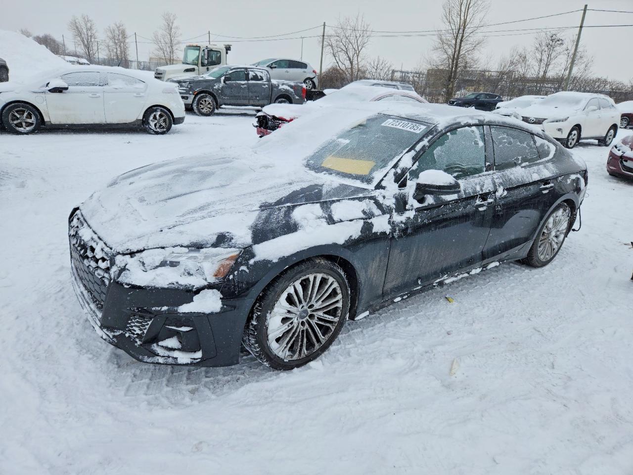 2024 AUDI S5