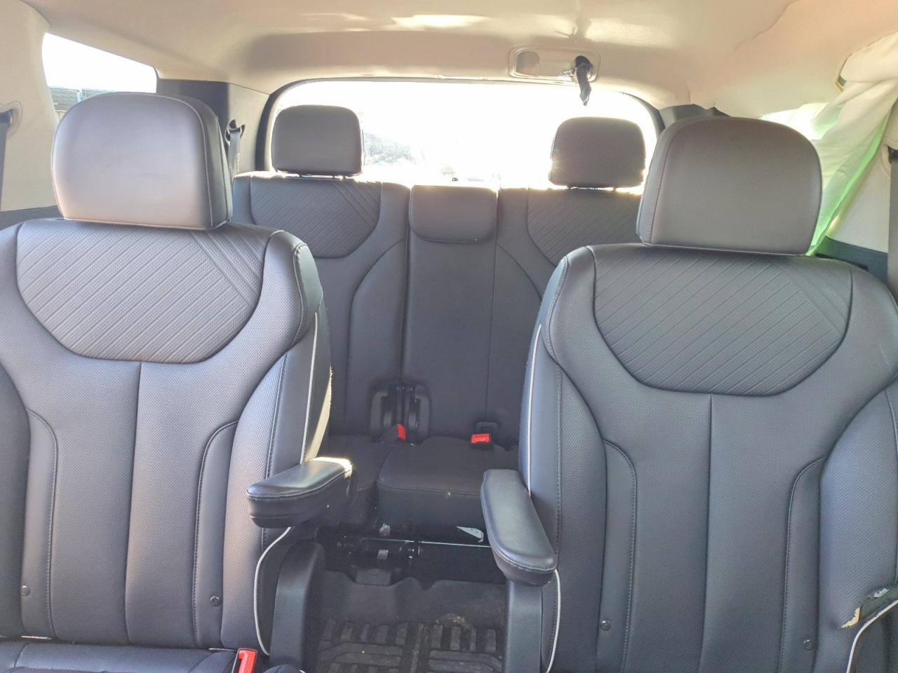 2024 HYUNDAI PALISADE SEL photo 10