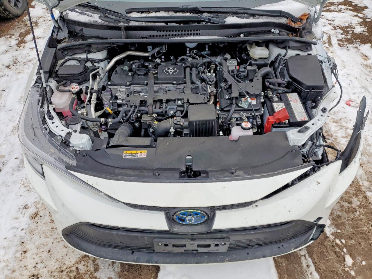 2025 TOYOTA COROLLA LE photo 31