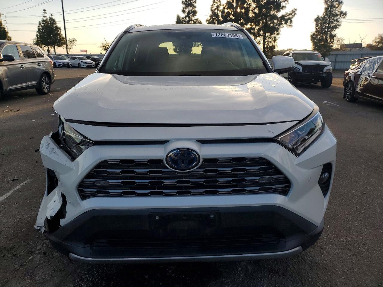 2019 TOYOTA RAV4 LIMITED photo 5