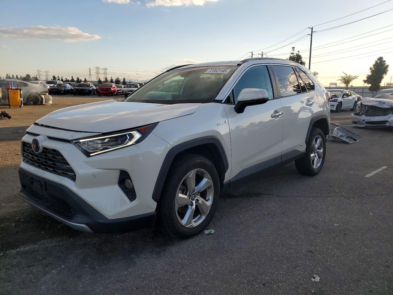 2019 TOYOTA RAV4