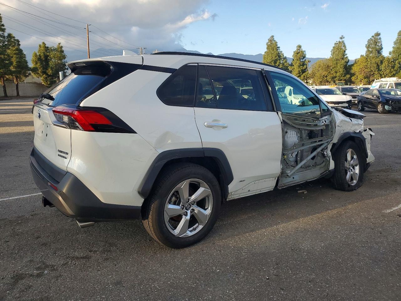 2019 TOYOTA RAV4 LIMITED photo 3
