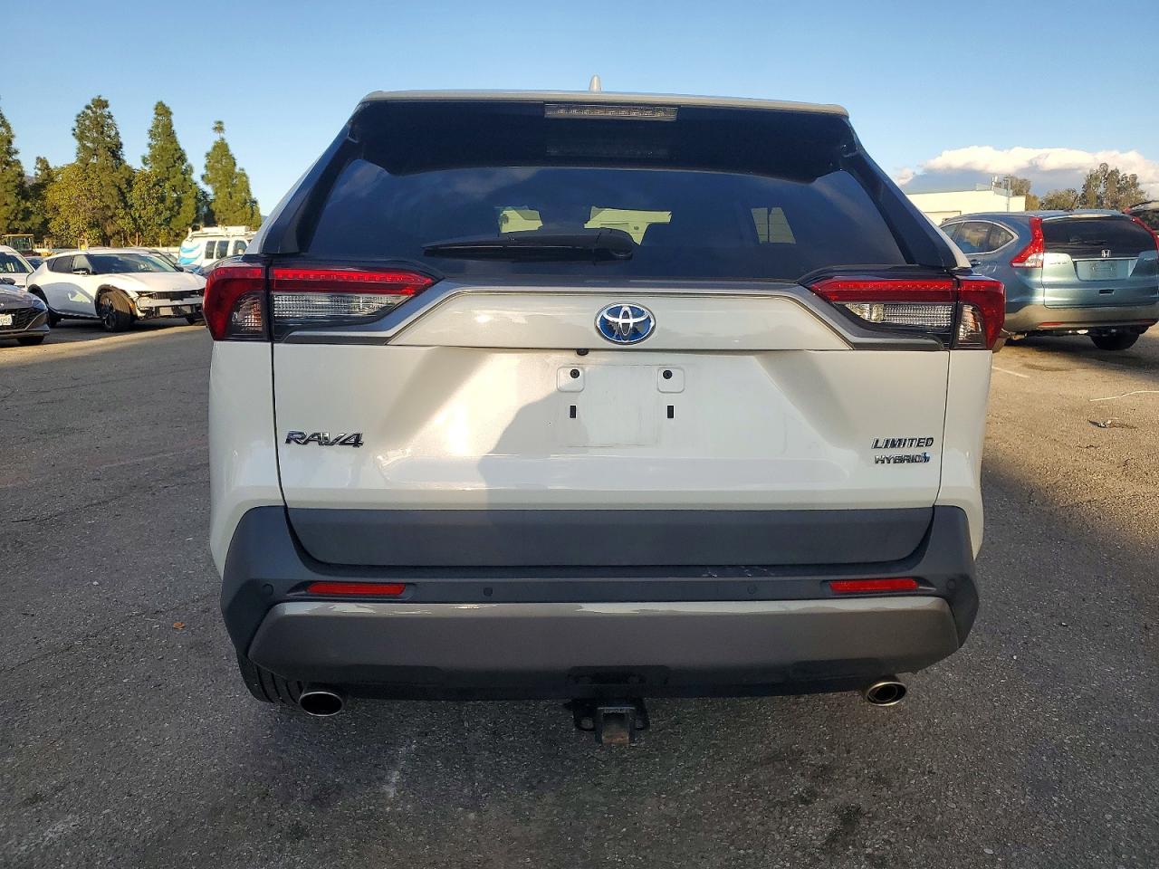 2019 TOYOTA RAV4 LIMITED photo 6