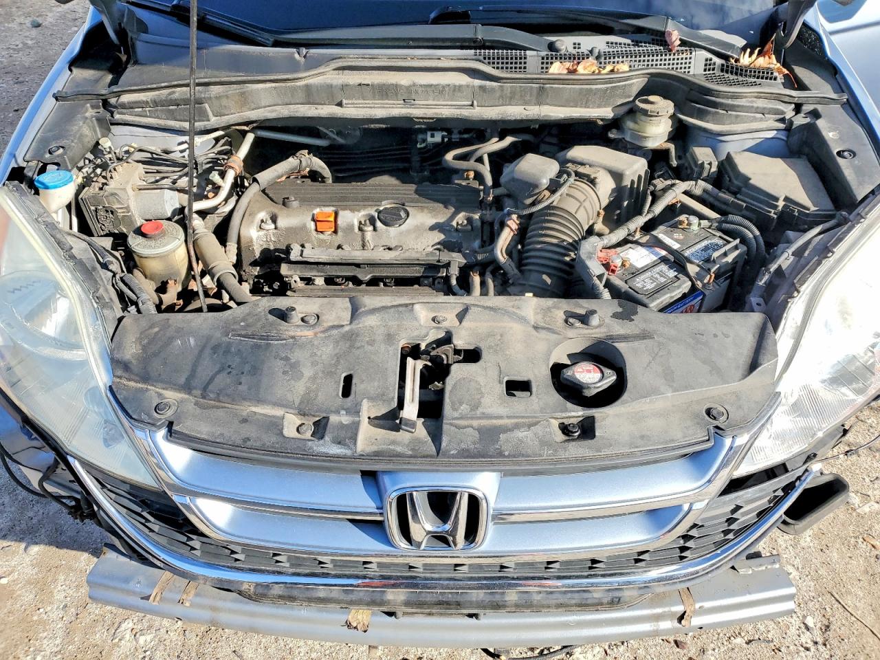 2010 HONDA CR-V EXL photo 12