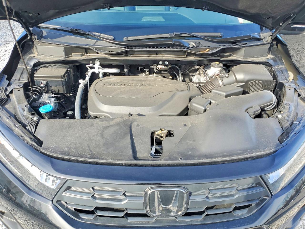 2025 HONDA ODYSSEY EXL photo 12