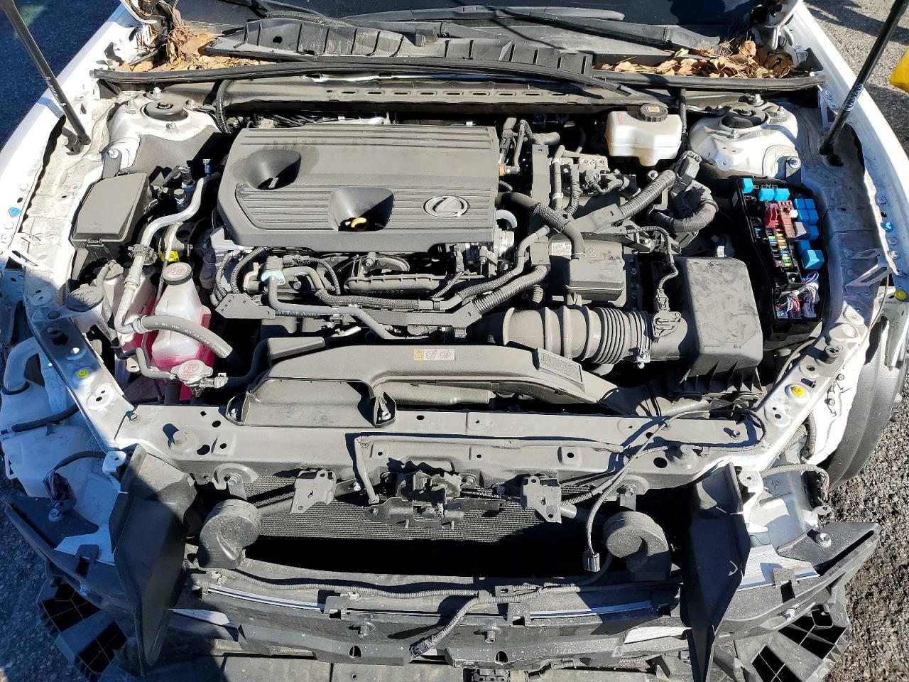 2024 LEXUS ES 300H BASE photo 11