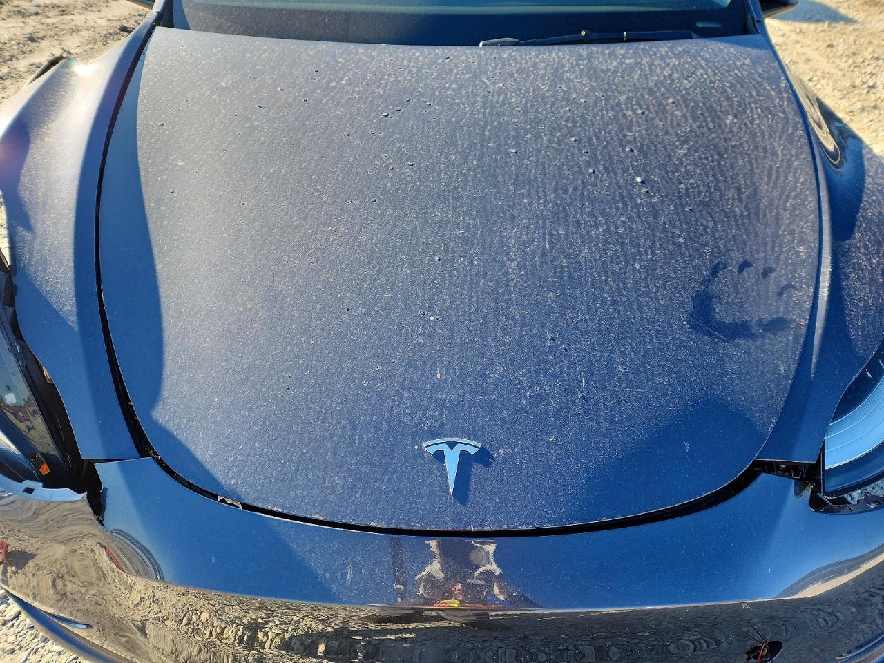 2021 TESLA MODEL Y photo 11