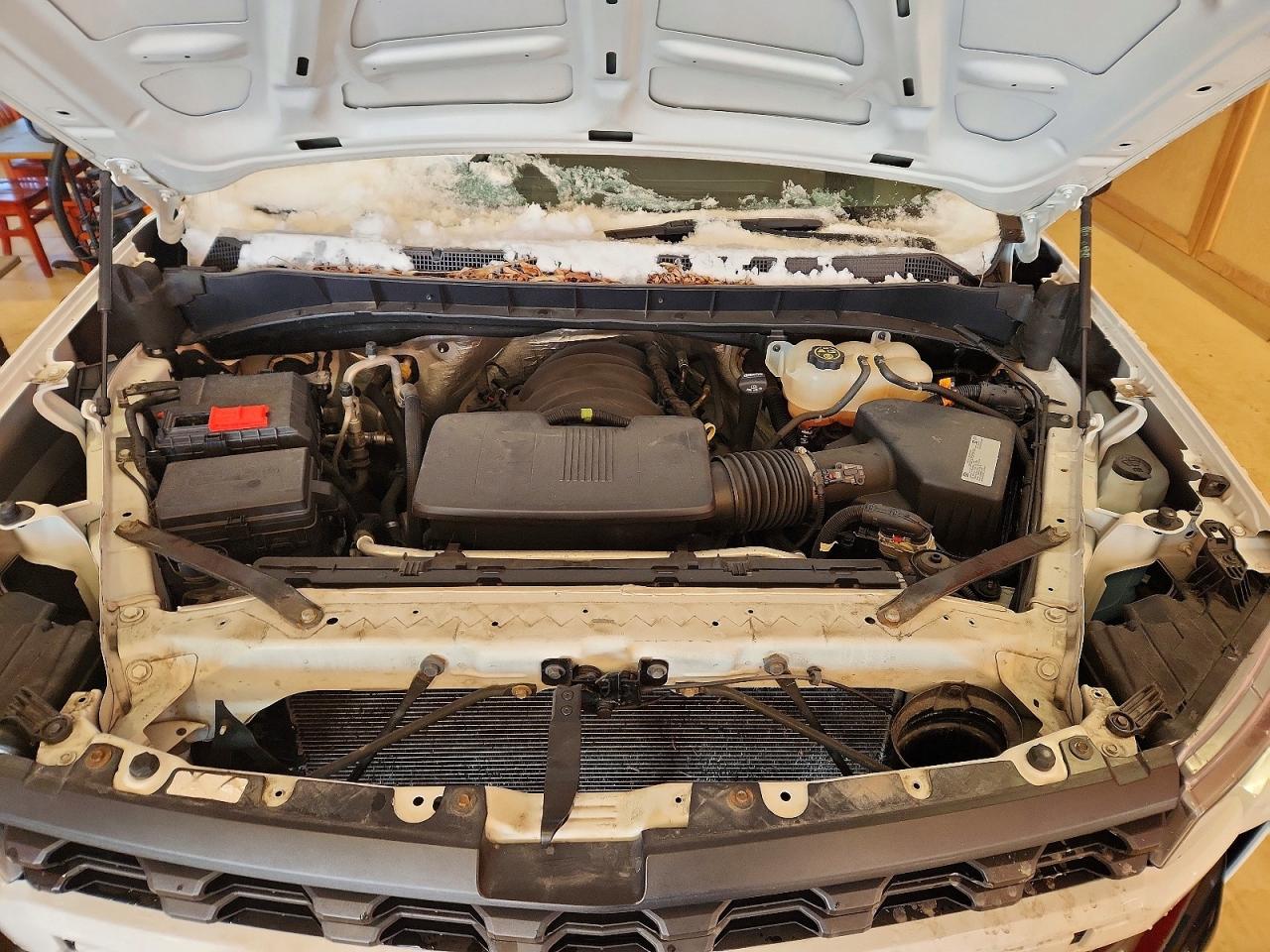 2019 CHEVROLET SILVERADO K1500 photo 11