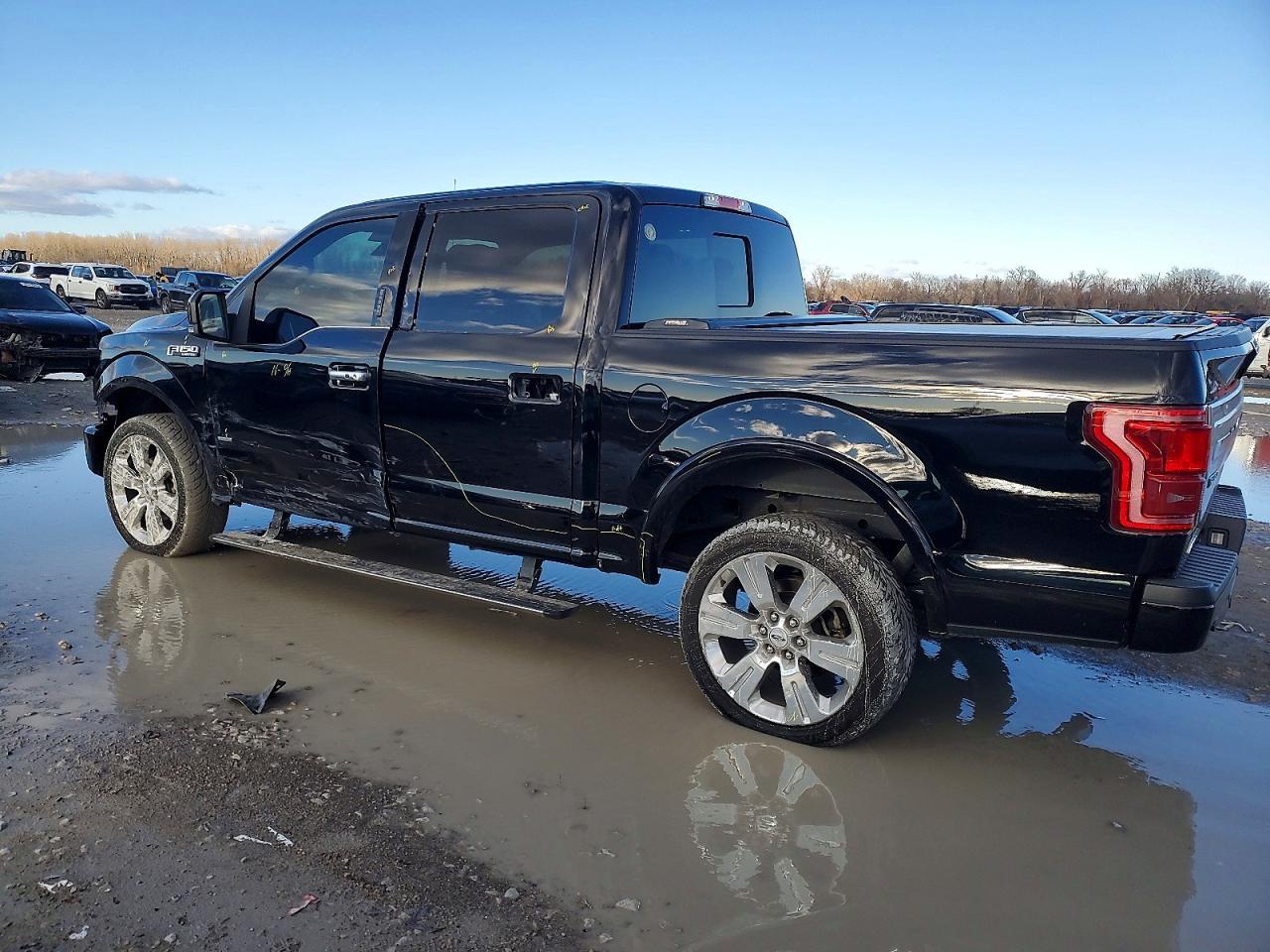 2016 FORD F150 photo 4