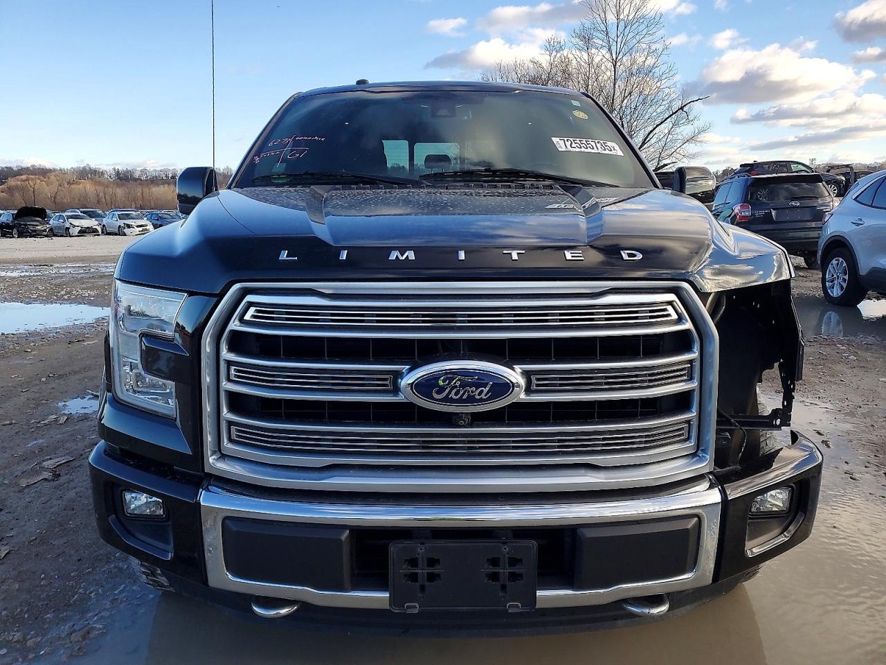2016 FORD F150 photo 13
