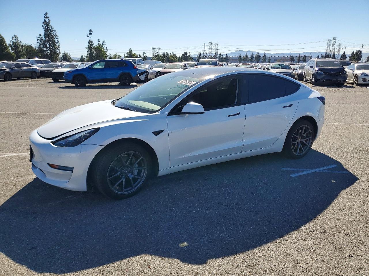 2023 TESLA MODEL 3