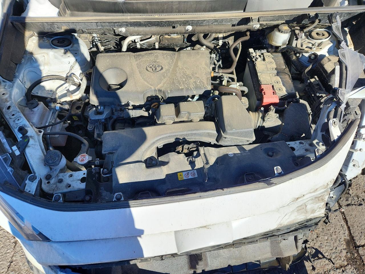 2025 TOYOTA RAV4 LE photo 12