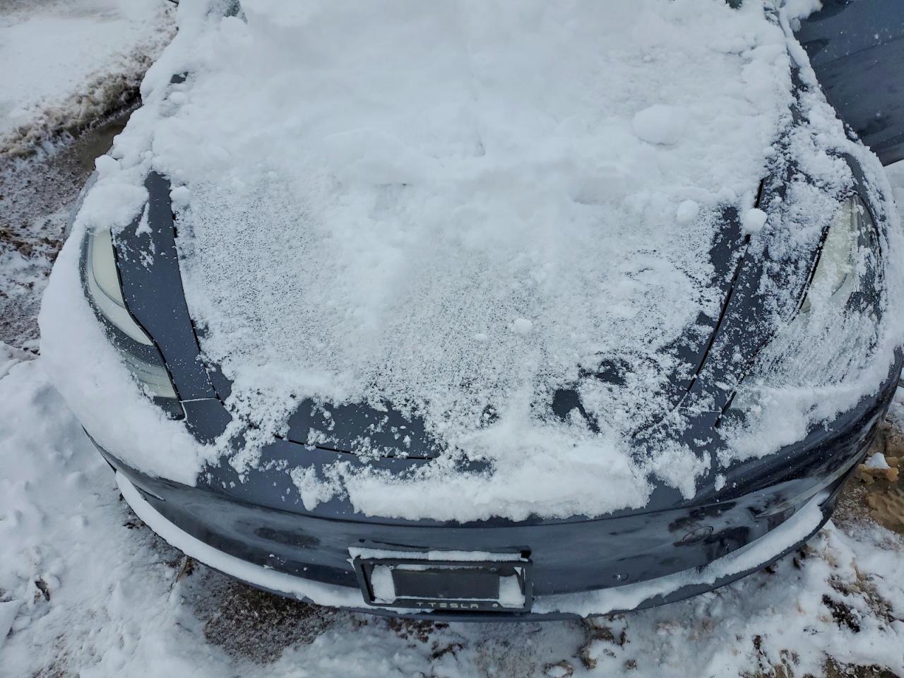 2018 TESLA MODEL 3 photo 21