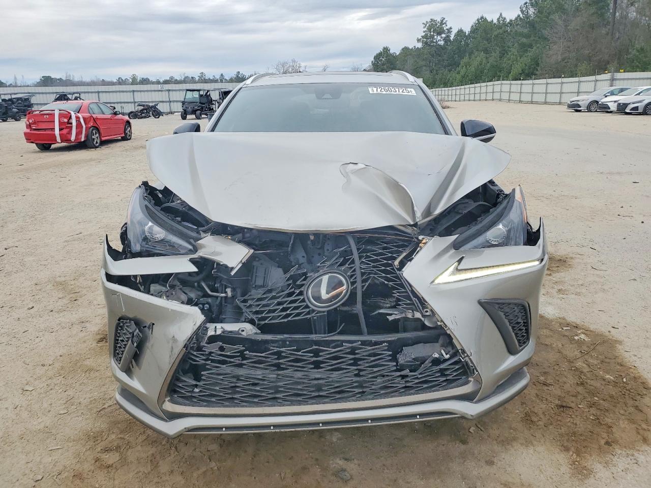 2020 LEXUS NX 300 F SPORT photo 9