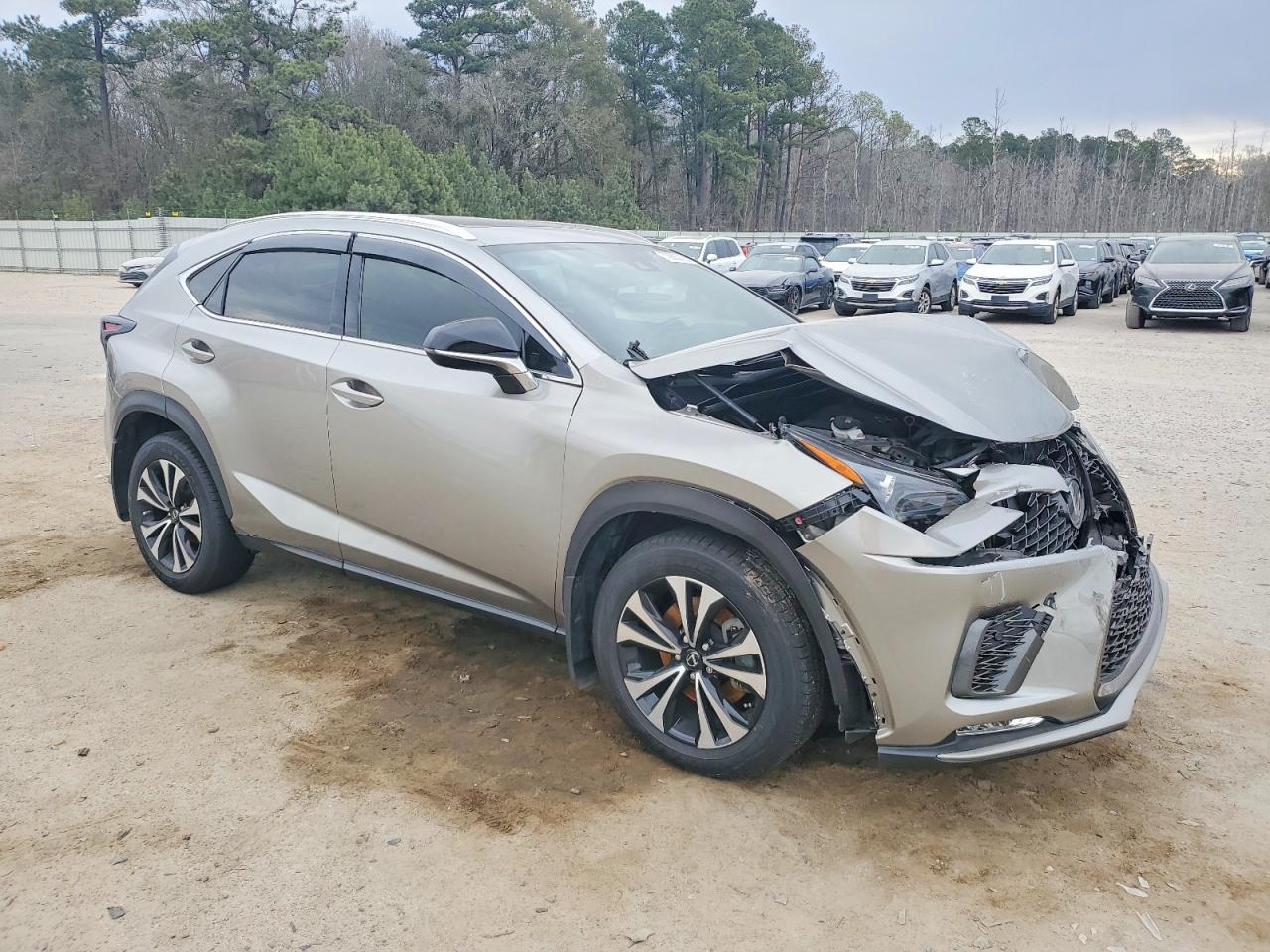 2020 LEXUS NX 300 F SPORT photo 7