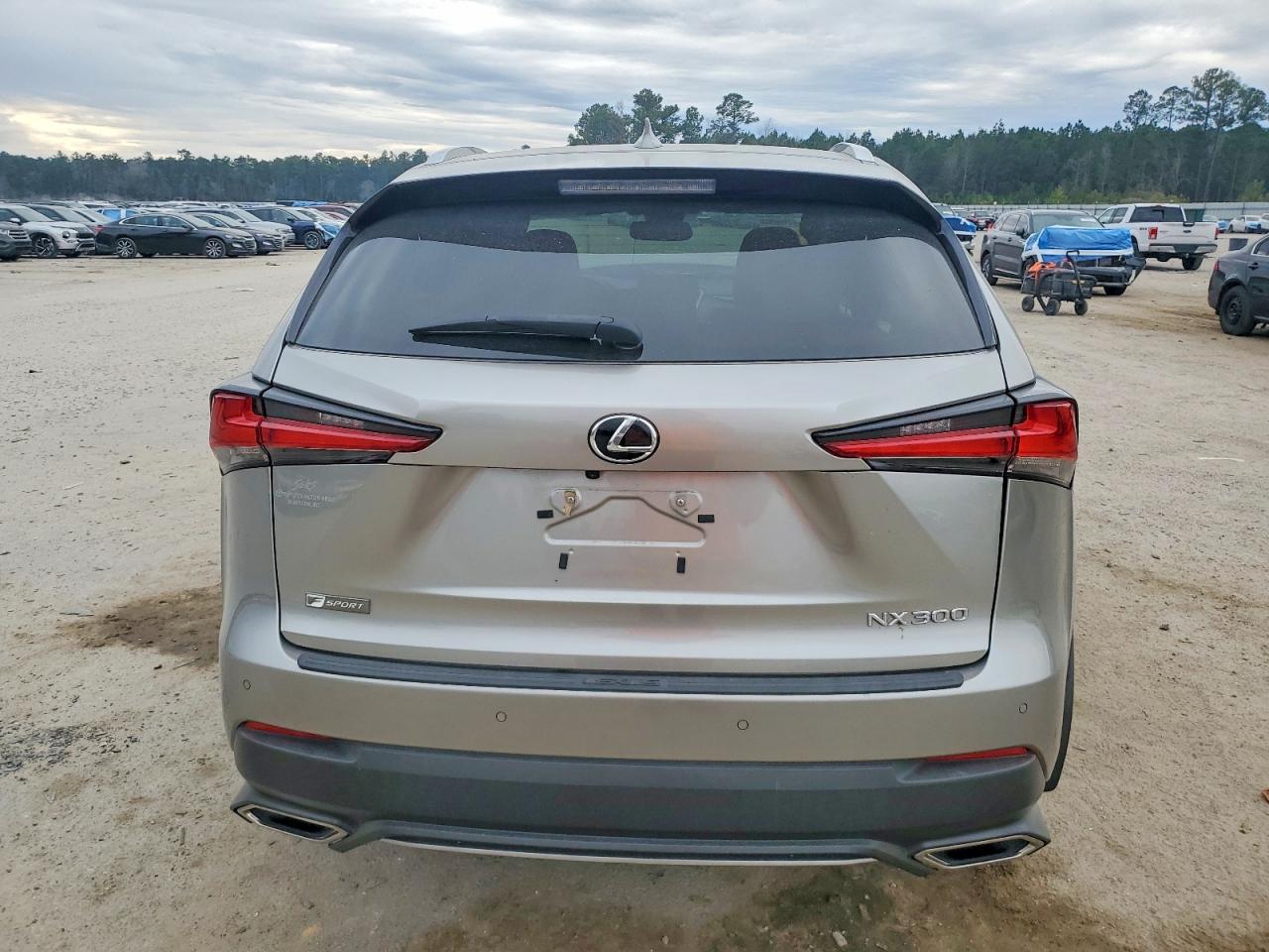2020 LEXUS NX 300 F SPORT photo 11