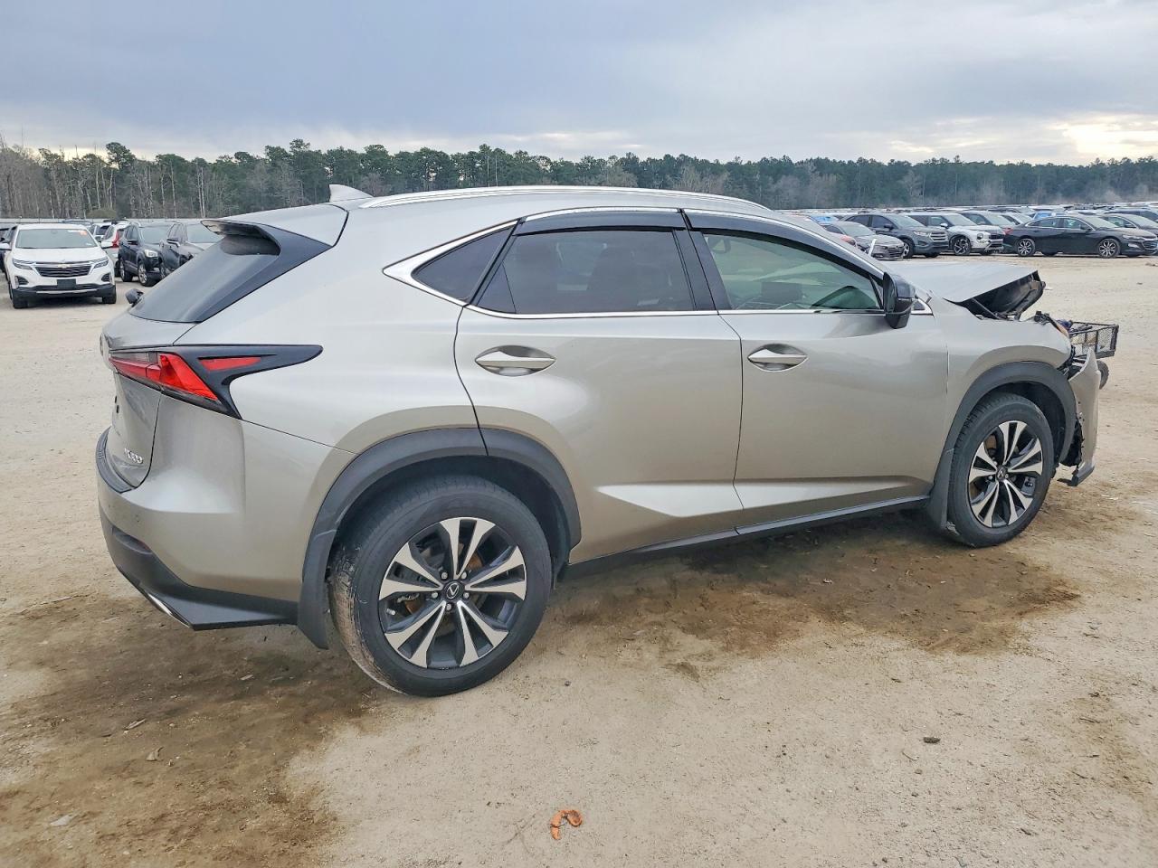 2020 LEXUS NX 300 F SPORT photo 5