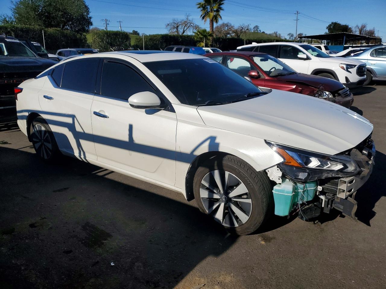 2019 NISSAN ALTIMA SV photo 7